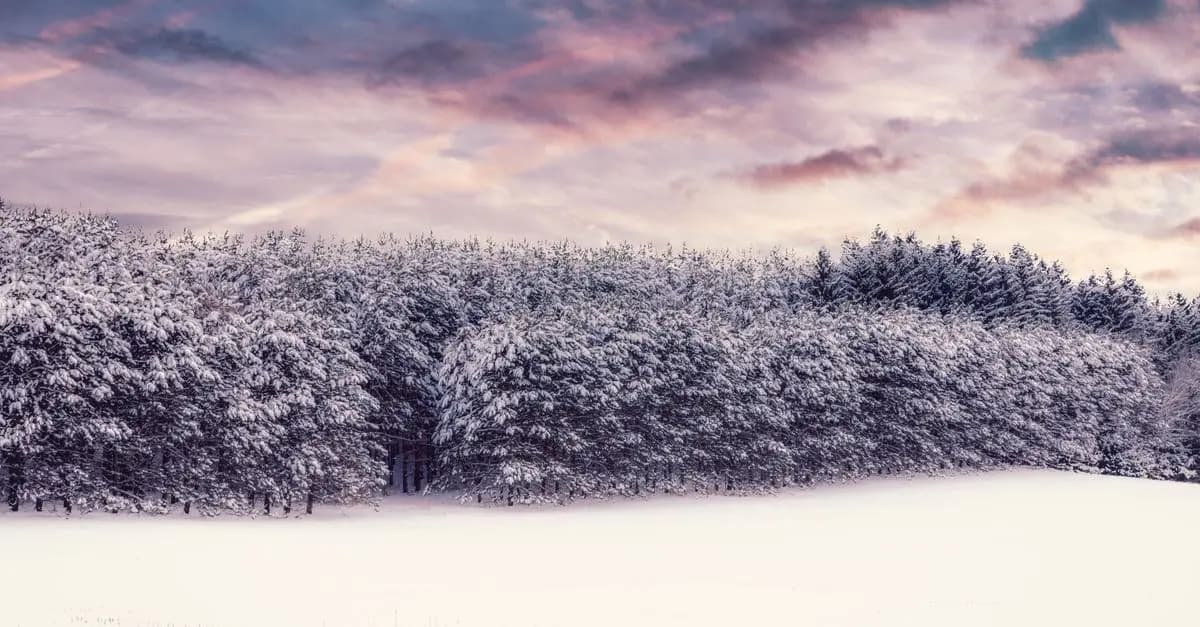 Quels gants choisir pour l'hiver ?