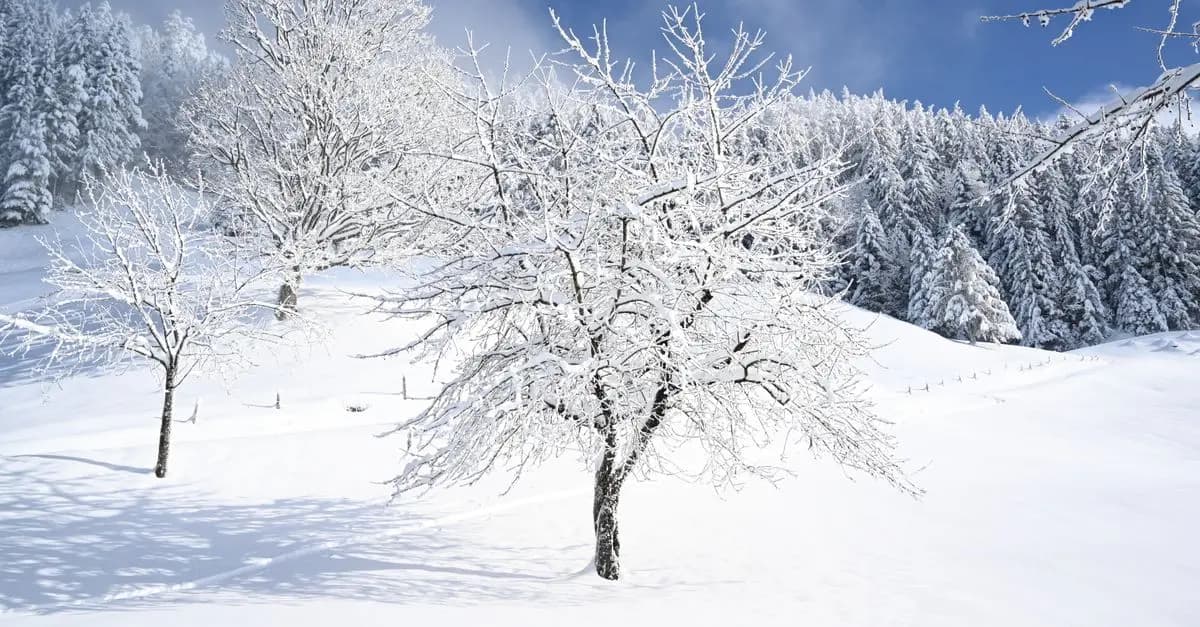 Entretien de vélo en hiver : Guide complet